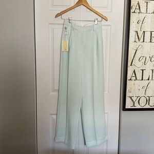 Wilfred Effortless Pant - Mint Green - NWT